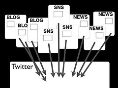 WordPress vs. Tumblr : y(tng)cp֮